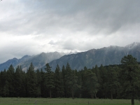 Looking up at the Rockies